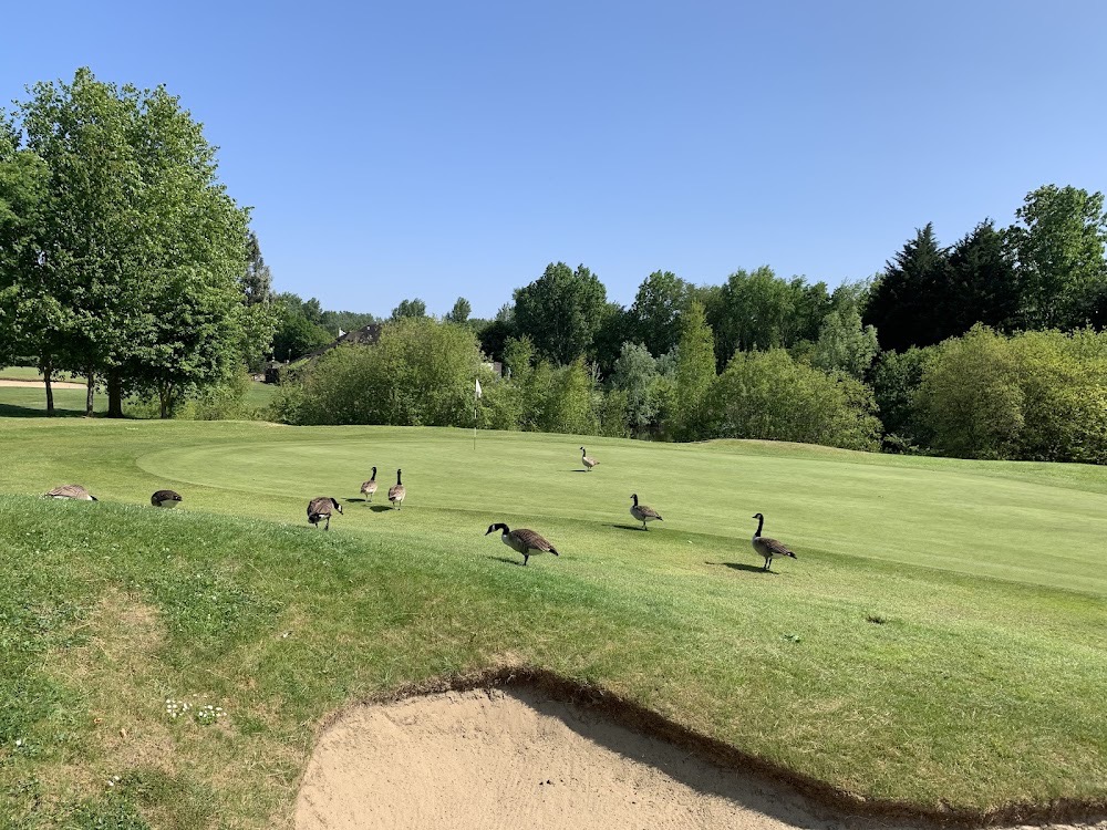 Thorney Park Golf Club — London Golf Courses Course Visit